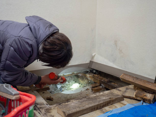 Best Post-Remediation Verification Testing  in Bohners Lake, WI
