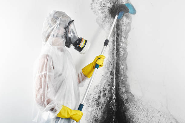 Best Comprehensive Air Testing for Mold Contaminants  in Bohners Lake, WI