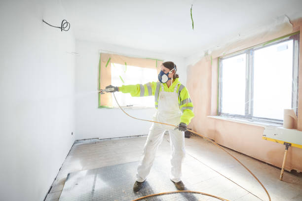 Reliable Bohners Lake, WI Mold Removal Solutions