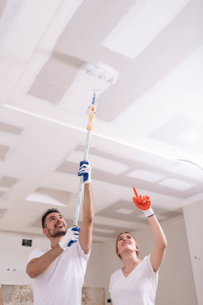 Best Attic Mold Removal  in Bohners Lake, WI
