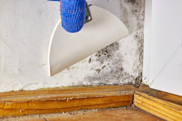 Mold Remediation for Rental Properties in Bohners Lake, WI