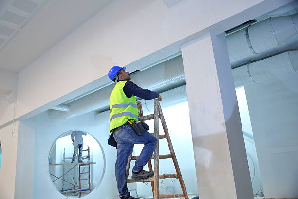 Best Mold Odor Removal Services  in Bohners Lake, WI